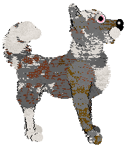 Steph's Top Mark at Wild Road — “Lucille”