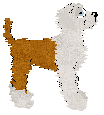 SGP's Weeping Willow at Wild Road — “Wigvurd”