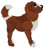 Alohomora's Beat To Match at Wild Road — “Alphabeat”