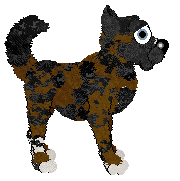 King's Raise The Flag at Wild Road — “Raysin”