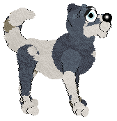 King's Innocent at Wild Road — “Lamb”