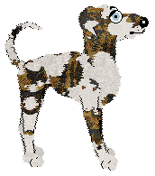 Krunchez's Controlling Emotions at Wild Road — “Stoic”