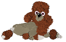 Xoops' Waterfall at Wild Road — “Jasalyn”