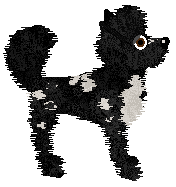 Lex's You're Surely A Rockstar at Wild Road — “Sure”