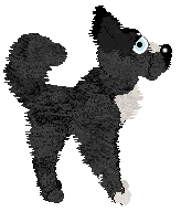 Sungraze's Creutzfeldt at Wild Road — “Creutzfeldt”