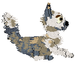 Starfrost's Cheeks & Squeaks @ Mockingbird — “Cheek”