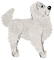 Sz/Aura's Metamorphosis — “Cocoon”