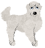 Sz/Aura's Metamorphosis — “Cocoon”