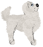 Profile image of Sz/Aura's Metamorphosis