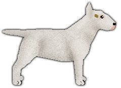 Profile image of Kamvis' Southern Charm