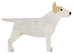 Blizzard UNEXPECTED KISS — “Tosia”