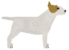 Kamvis' Magic Moon — “Java”