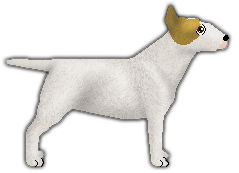 Profile image of Kamvis' Magic Moon