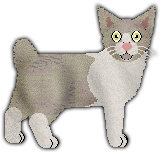 Profile image of Blizzard Imposter Syndrome