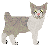 Blizzard Imposter Syndrome — “Kai”