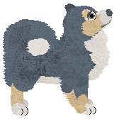 TaigaPaws' Porro the Perro at Vanilla — “Porro”