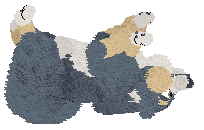 TaigaPaws' Porro the Perro at Vanilla — “Porro”