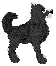 Vanilla's Bits & Bobs — “Trinket”