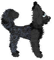 Vanilla's Dream Big — “Starlet”