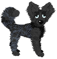 Vanilla's Dream Big — “Starlet”