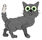 EC's Pale Green Stars — “Kiwi”