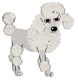 Profile image of Geriatrix Champers Anyone