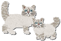 Profile image of Parody A Midsummer Night's Dream