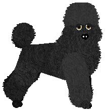 Profile image of Geriatrix One Eye Open