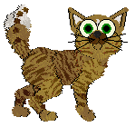 Rachel's Higher Than Hope at Mythic Silence — “Fennec”