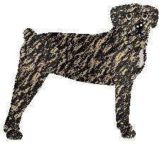 Profile image of Rosestone's See No Sound