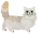 Effigia's Highway Song — “Roadie”