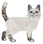 Vama’s Playing With Fire — “Jeza”