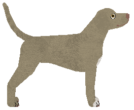 Riflery Toad In The Hole — “Porky”