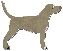 Profile image of Riflery Toad In The Hole