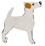 Limerick Why Are You Like This? — “Trouble”