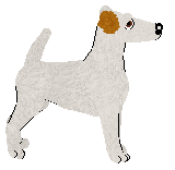 Limerick Why Are You Like This? — “Trouble”