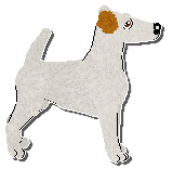 Profile image of Limerick Why Are You Like This?