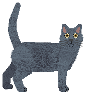 Mirror Blue's Looking Through You — “Gemma”