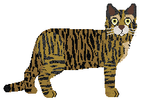 Mirror Blue's Shu Shop — “Shu”