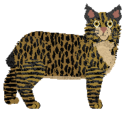 Mirror Blue's Viva Verdi — “Verdi”