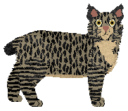 Mirror Blue's Purple Sage — “Veneta”