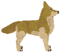 Mirror Blue's Night Won't Breathe — “Anastazie”