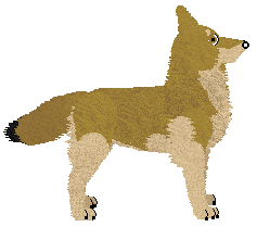 Mirror Blue's All Will Be Forgiven — “Kazimir”