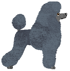 Mirabeau Grand Pas Classique — “Feline”