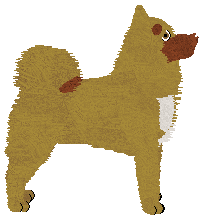 Traction Greased Lightning — “Lightning”