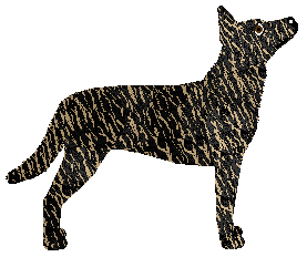 Guardian's Another Memory — “Wish”