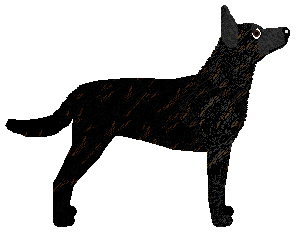 Egor van Guardian — “Egor”