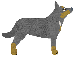 Maplewood's Start The Clock — “Bundy”