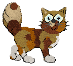 Profile image of Calluna's Cornucopia of Colour