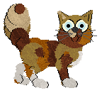 Calluna's Cornucopia of Colour — “Aurelion”